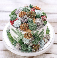 Succulents on a succulent cake