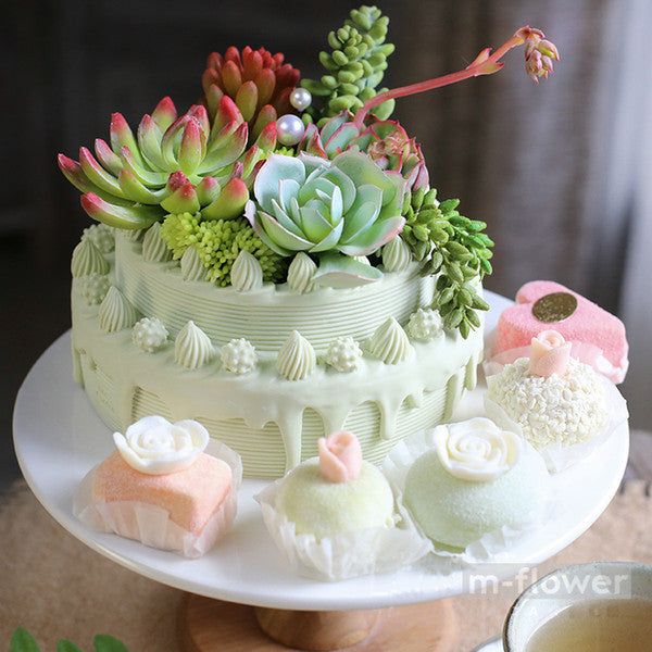 Cakes with plants on them